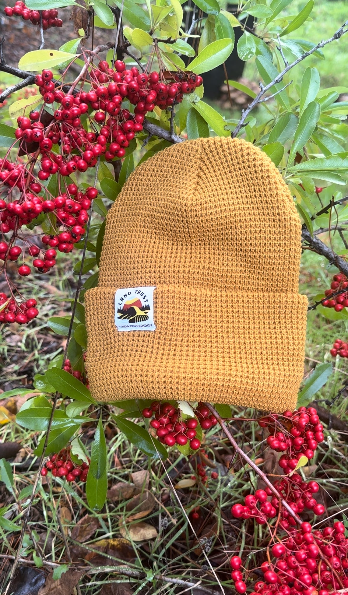 Land Trust Waffle Knit Beanie