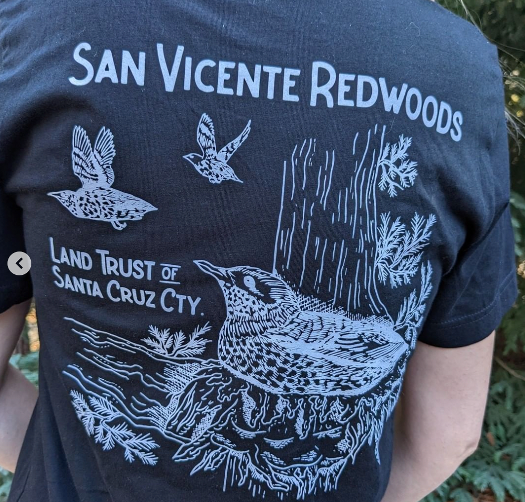 San Vicente Redwoods Murrelet T-Shirt