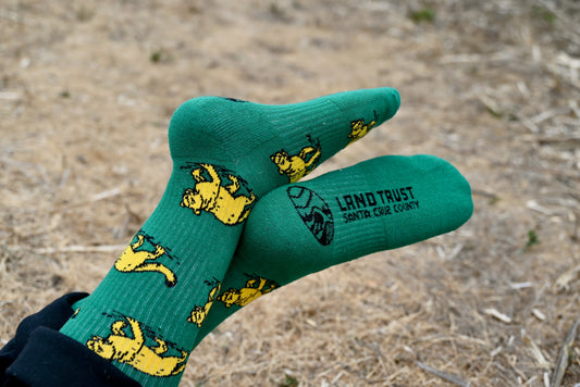 Mountain Lion Socks