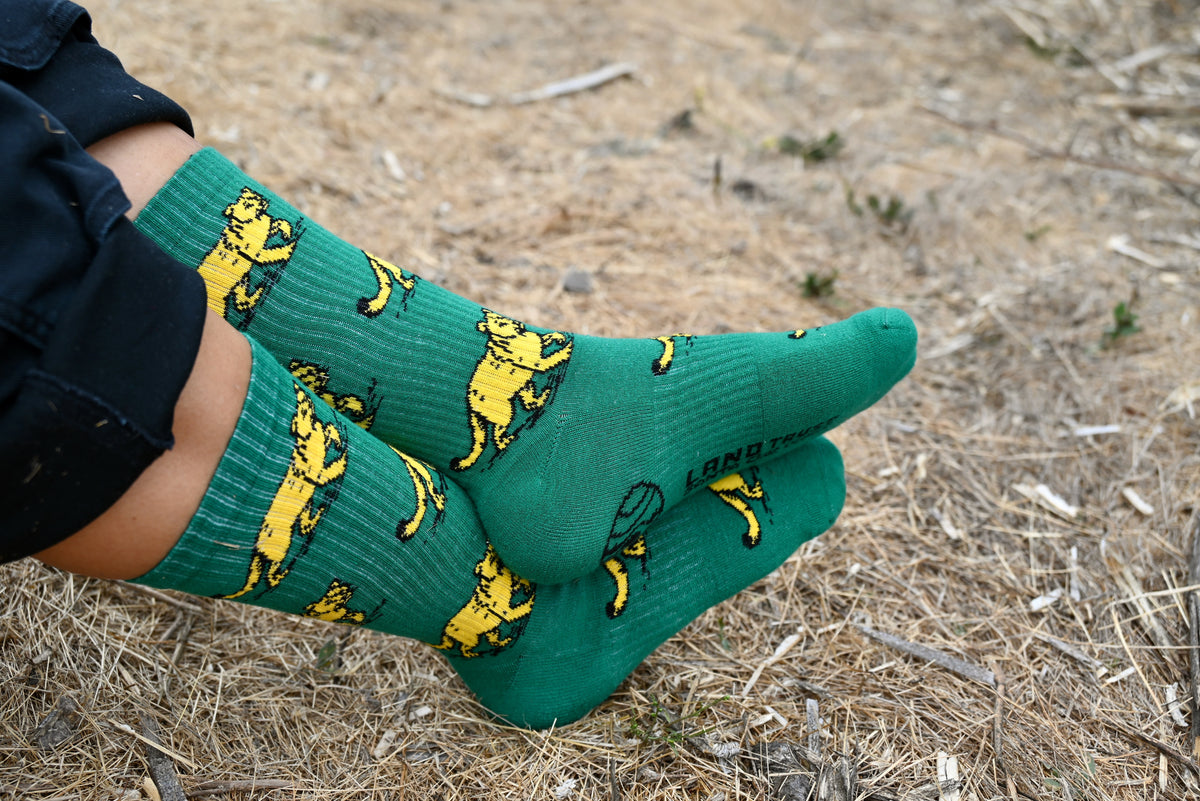 Mountain Lion Socks