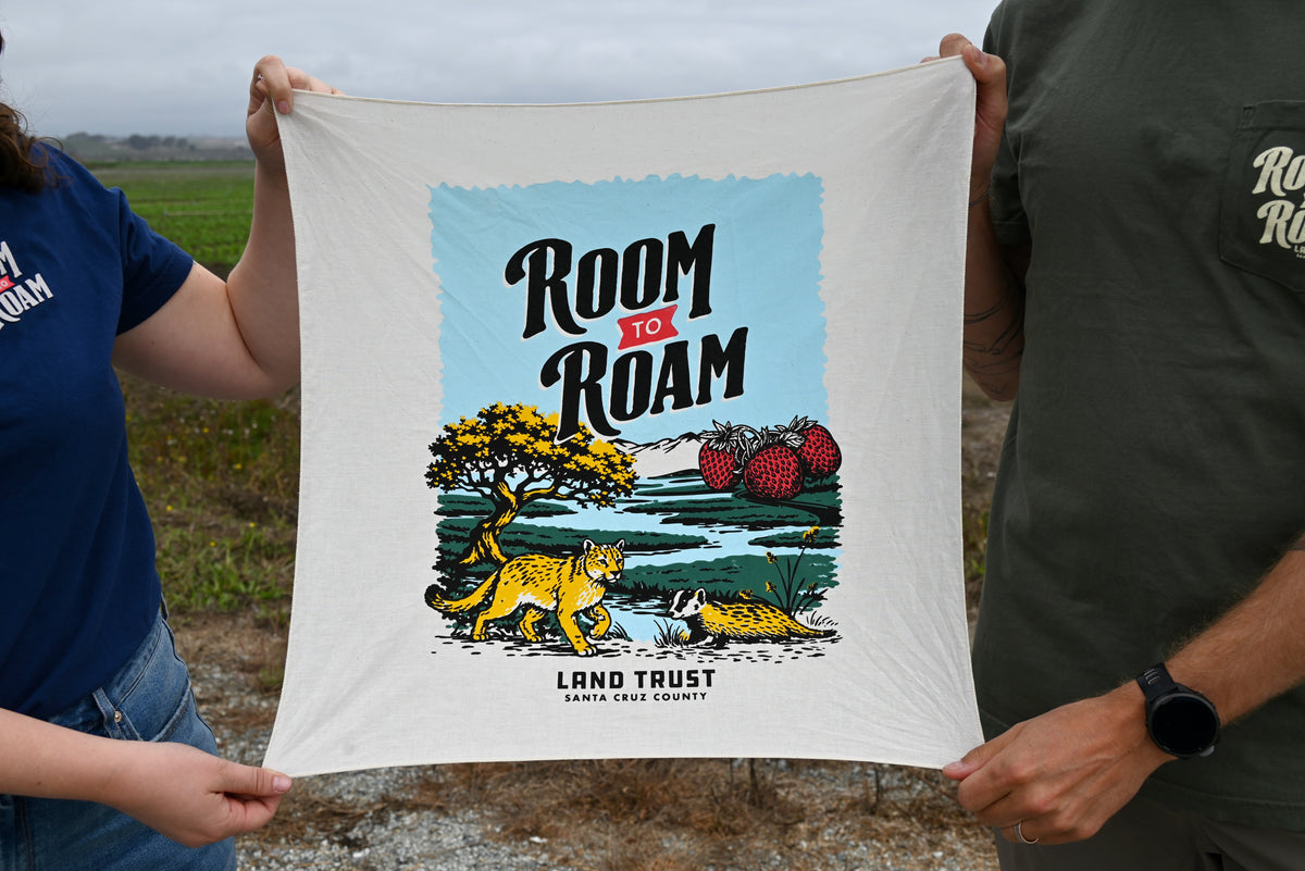 Room to Roam Bandana